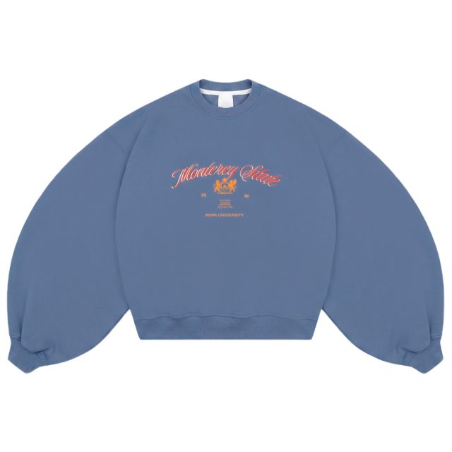 BLUE UNIVERSITY SWEATSHIRT